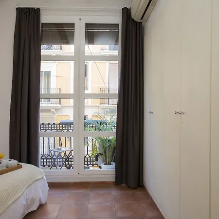 Albergue Singularstays Botanico 29