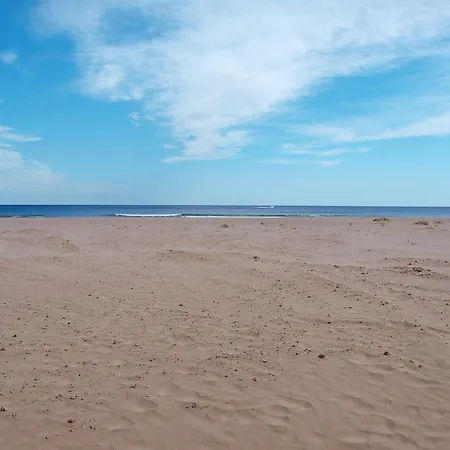 Apartup Patacona Terrace Duplex Ii * バレンシア