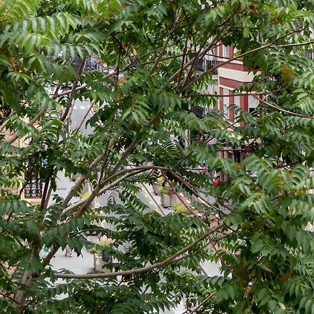 My Loft 4 Ruzafa Style Iii *