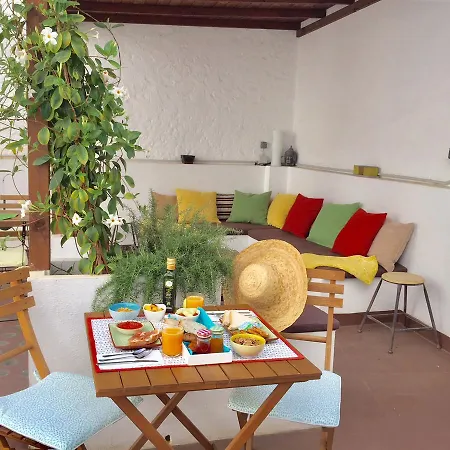 Bed and Breakfast Garden