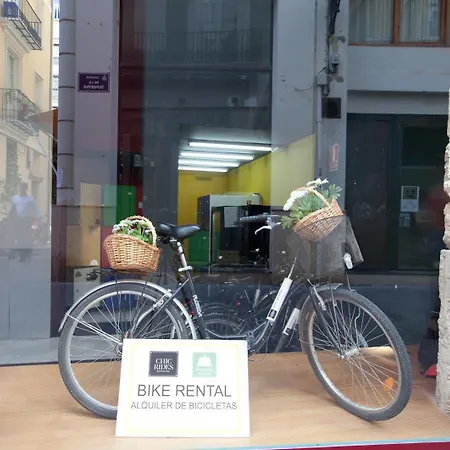 Cosy Tapineria 게스트하우스 발렌시아