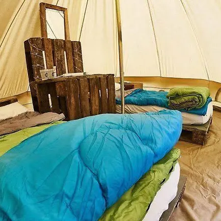 Festival Hotel