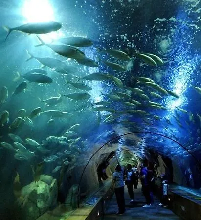 Bed Of The Sea 2* 瓦伦西亚