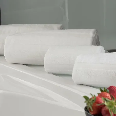 Sercotel Alameda 41 酒店 瓦伦西亚