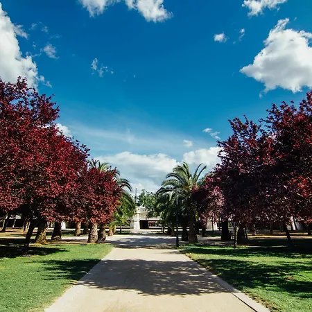 Anderson Flats * Valencia