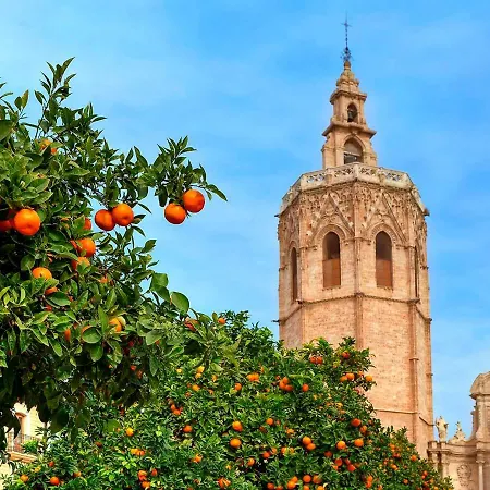 Arrendamiento De Temporada En Ruzafa
