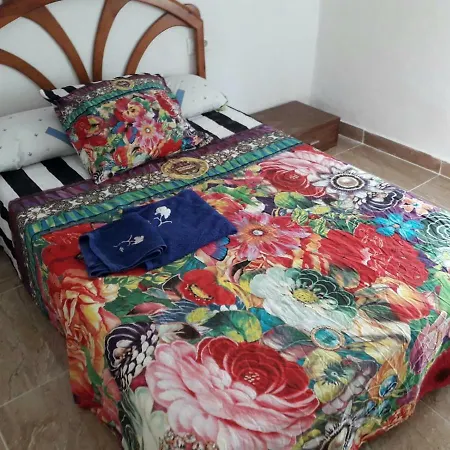 Apartamento Sofia Valencia