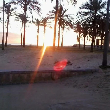 Sofia Apartamento Valencia