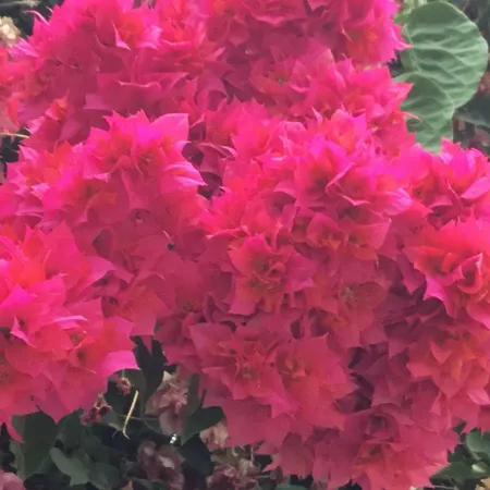 Apartamentо Menorcа менорка Apartment