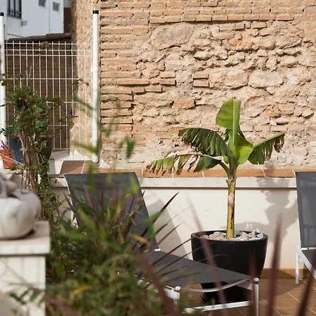 New Aloha Center With Terrace