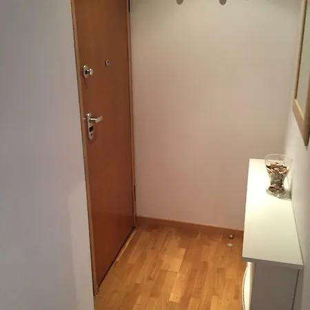 Maestro Rodrigo Valencia