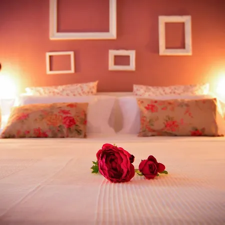 Apartman New Bioparc