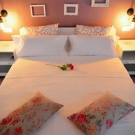 Apartman New Bioparc