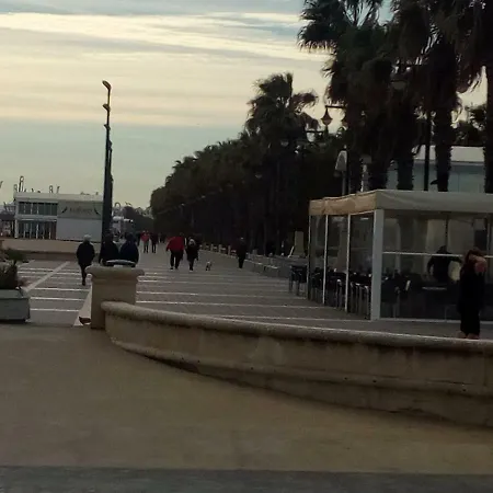 La Patacona