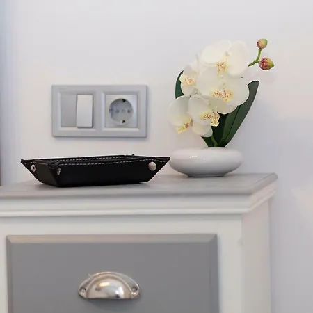 Torres-botanico Con 2 * Valencia