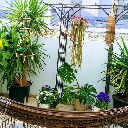 Panzió Angel Guimera & Breakfast *