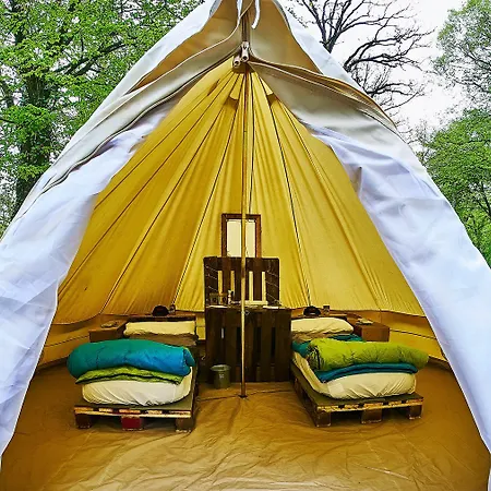 Festival Hotel *
