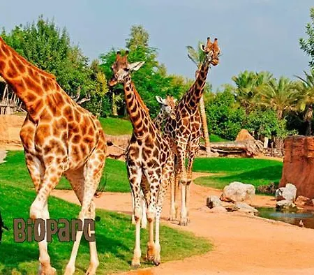 Bioparc Metro Valencia