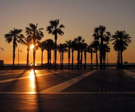 Luxury A40-35 With Terrace And Sea Views アパート バレンシア