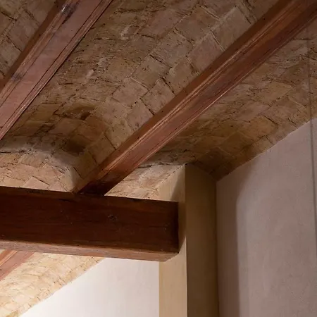 Natural Loft Walencja