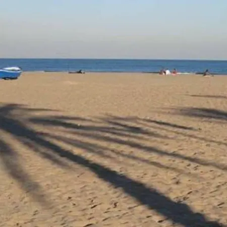 En La Ciudad De Ciencias Y Cerca De La Playa *