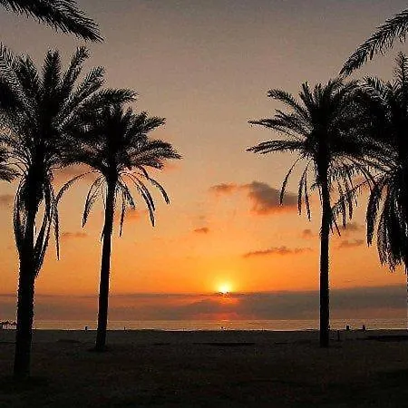 Apartament Patacona Mare Nostrum Ii *