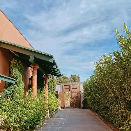 Mom La Punta Valencia