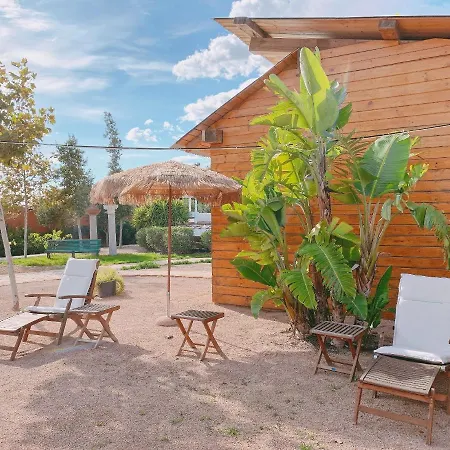 Mom La Punta Valencia