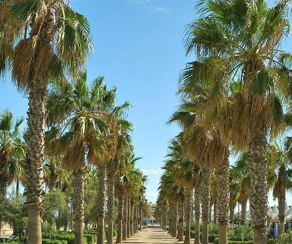 Privat bolig New In The Valencia