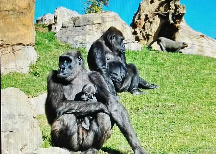 Duplex Near Center Lovely 발렌시아