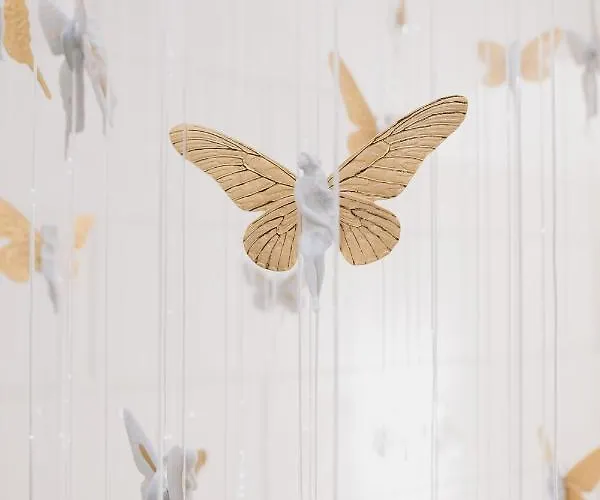 Myr Palacio Vallier Hotell