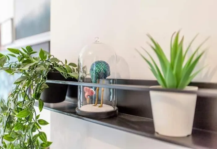 بيت ضيافة Cool Lofts Center فالنسيا