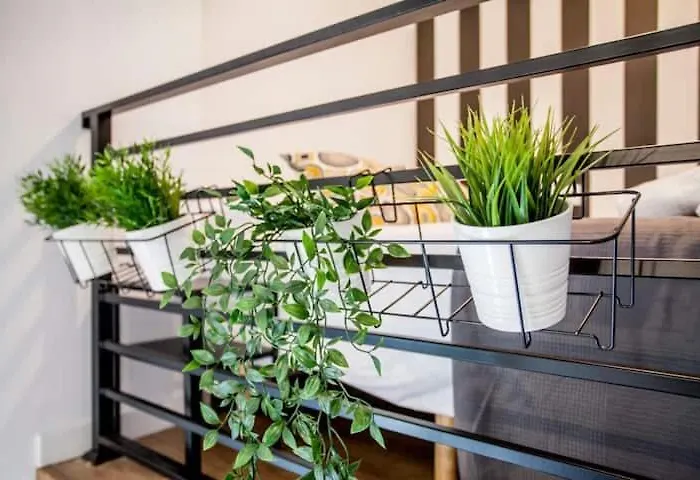 Cool Lofts Center Guest house 3*