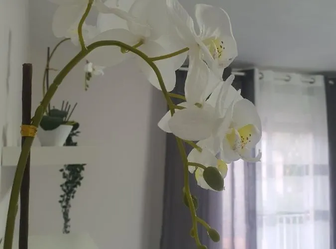 Διαμέρισμα Rio Turia