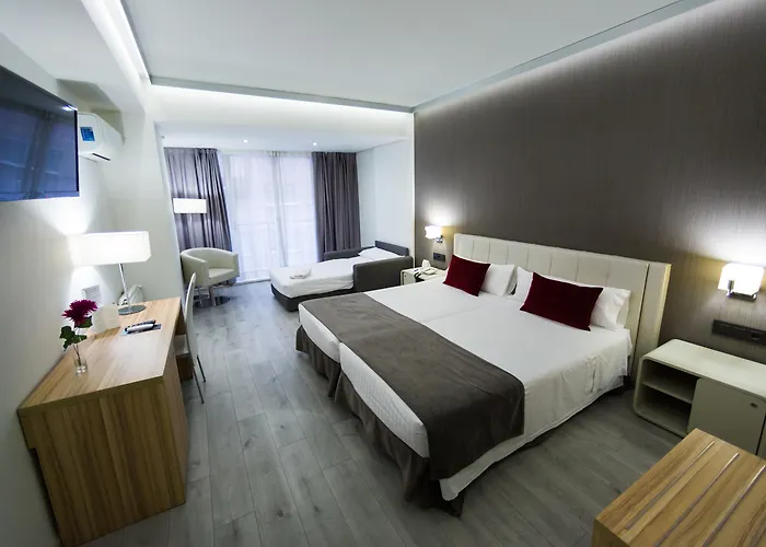 سويت ريناسا