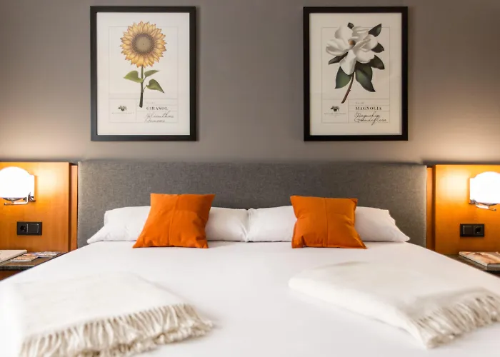 Malcom&barret Valencia