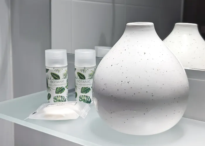 Original Domino House 4* Valence