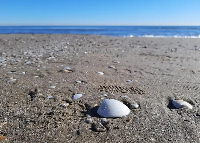 Fivestepstosea - Appartement *