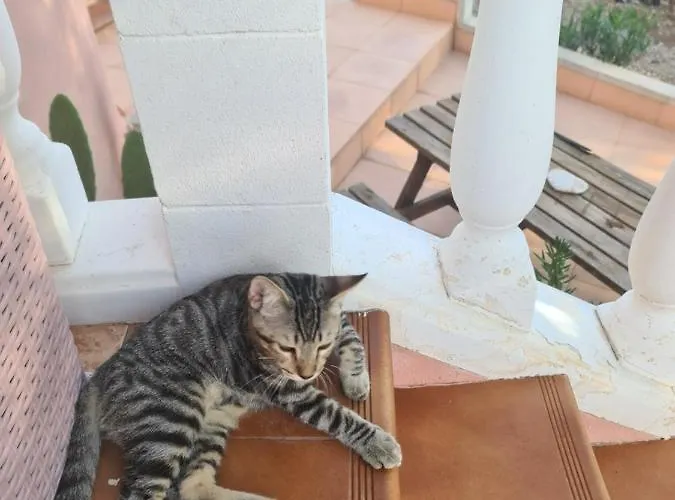 Chateau Angelique ולנסיה