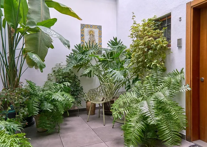 Barracart Aparthotel Valenza