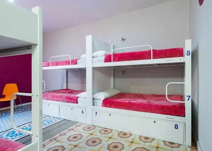 Auberge de jeunesse Purple Nest