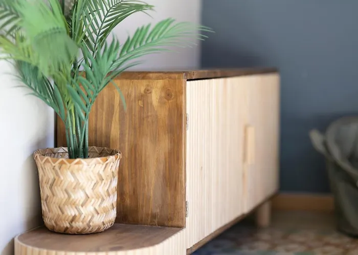 Bird House Valensiya