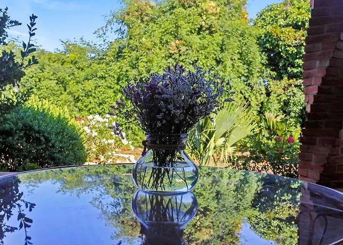 Huerto Valenciano - Sol Y Tranquilidad - Piscina