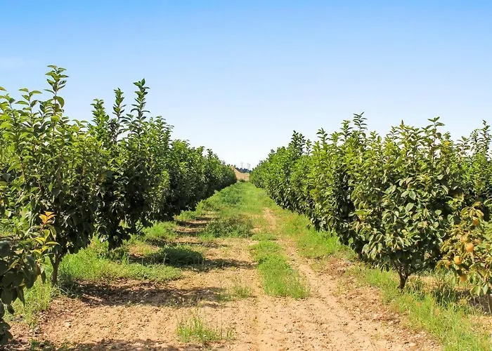 別荘 Huerto Valenciano - Sol Y Tranquilidad - Piscina バレンシア
