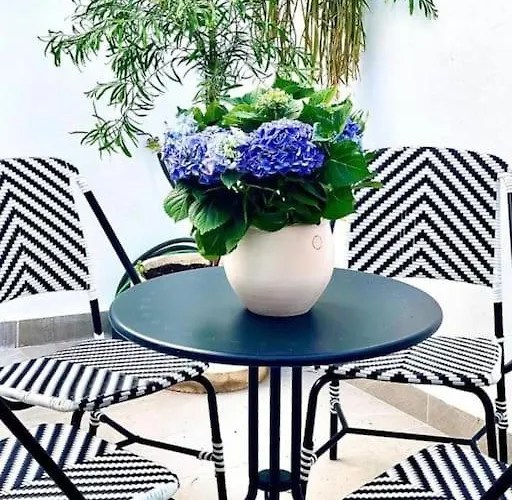 Casa Mediterranea- Les Mil I Nits 펜션 발렌시아