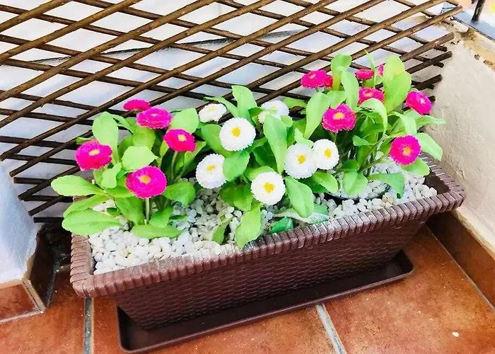 Reus, Lovely Flat Close To Center *