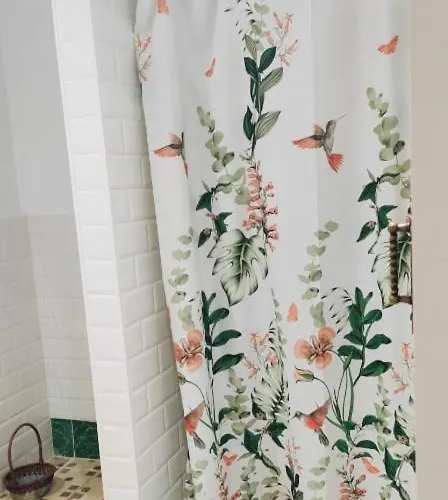 Con Bano Privado 1 Cama De Matrimonio Penzion Valencie