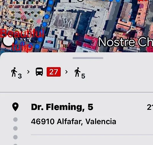 Beautiful Tulip * 발렌시아