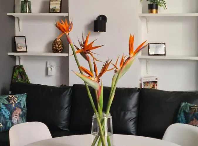 Hlius Brand New 발렌시아