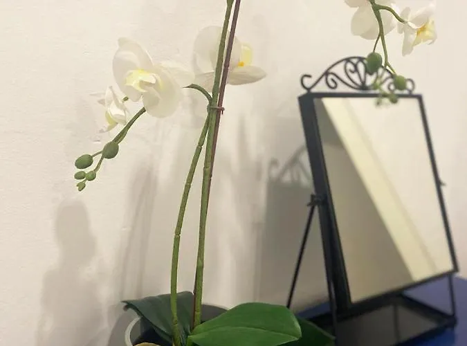 Peres I Valero En Piso Compartido Πανσιόν